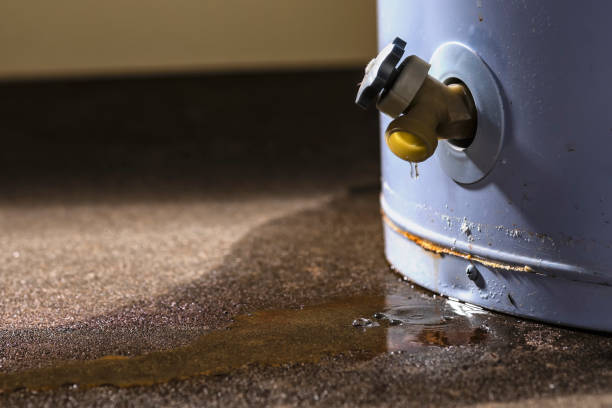 Best Sewage cleanup and water damage restoration  in Cherryvale, SC