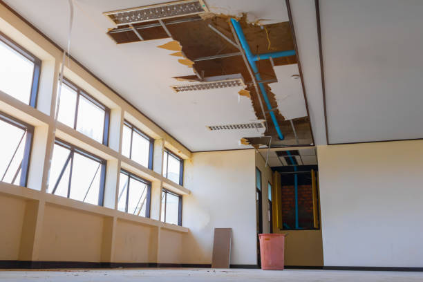 Best 24-hour water damage restoration  in Cherryvale, SC