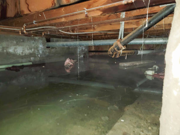 Best Flood restoration services  in Cherryvale, SC