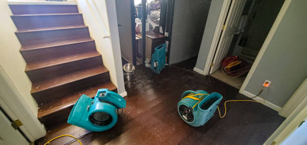 Best Water damage restoration near me  in Cherryvale, SC