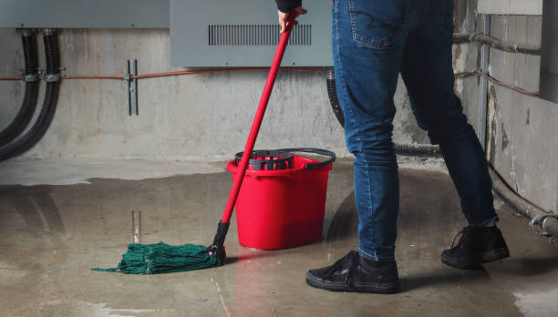  Cherryvale, SC Water damage restoration Pros