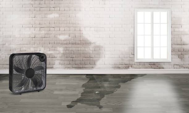 Best Commercial water damage restoration  in Cherryvale, SC