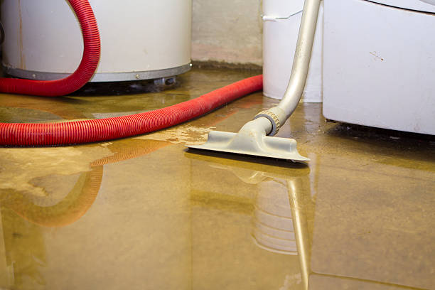 Best 24/7 water damage repair  in Cherryvale, SC
