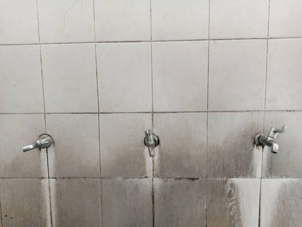 Best Professional water damage repair  in Cherryvale, SC