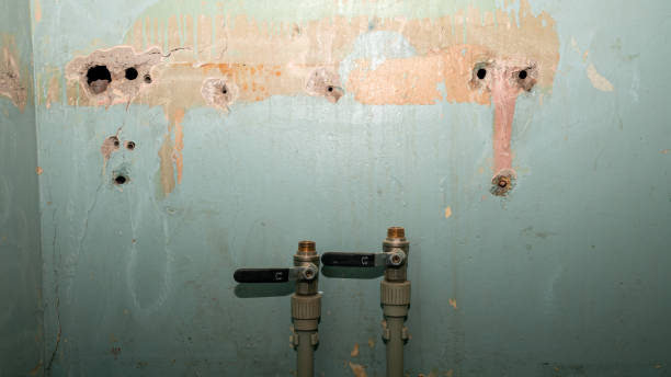 Best Flooded house restoration  in Cherryvale, SC