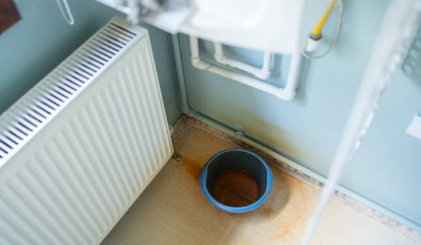 Best Mold removal after water damage  in Cherryvale, SC