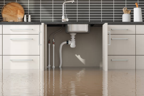  Cherryvale, SC Water damage restoration Pros