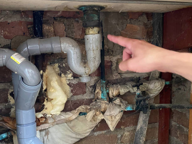 Best Water damage repair service  in Cherryvale, SC
