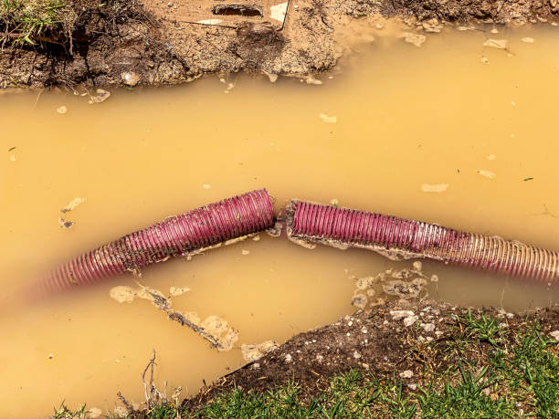 Best Water damage restoration cost  in Cherryvale, SC