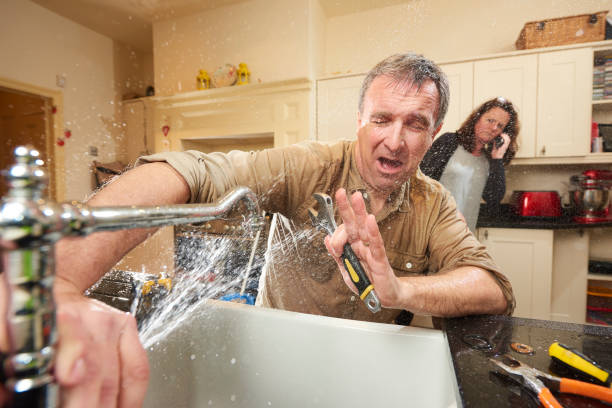 Best Basement water damage restoration  in Cherryvale, SC